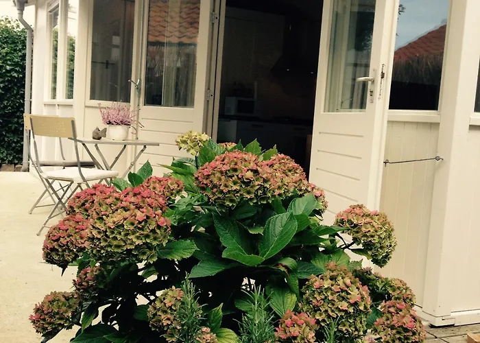 Tiny House Madame Jeanette